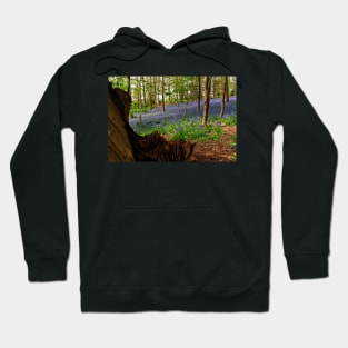 Bluebells Bluebell Woods Greys Court Oxfordshire UK Hoodie